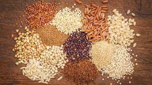                       अन्नपात
                     